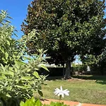 Casa Magnolia Apartament