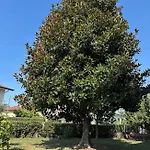 Apartament Casa Magnolia