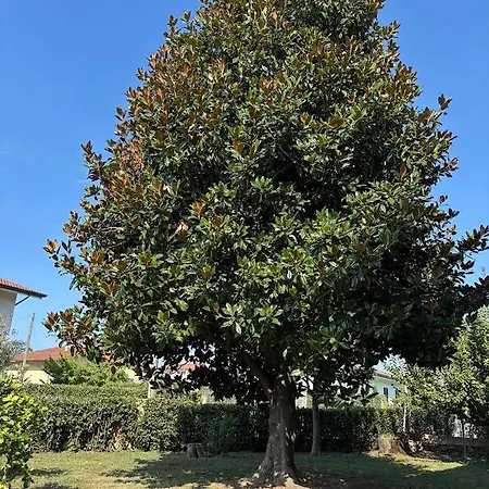 아파트 Casa Magnolia